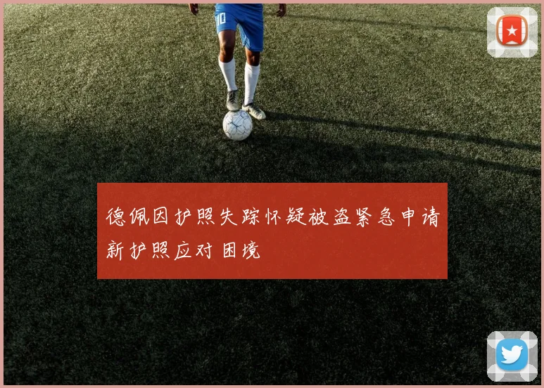 德佩因护照失踪怀疑被盗紧急申请新护照应对困境