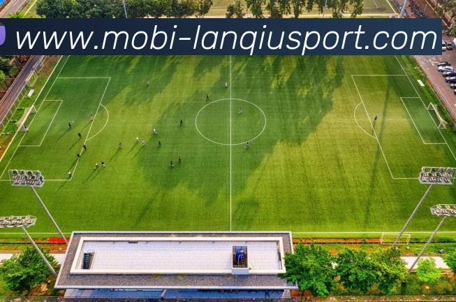 篮球赌注平台生态图